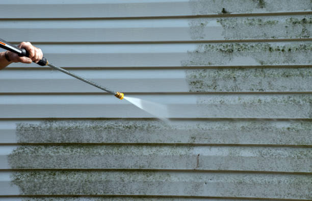 Best House Exterior Washing  in Charlack, MO